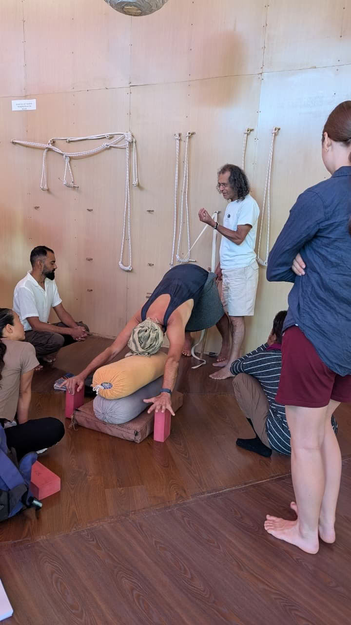 320-Hour Yoga Teacher Training Dharamshala
