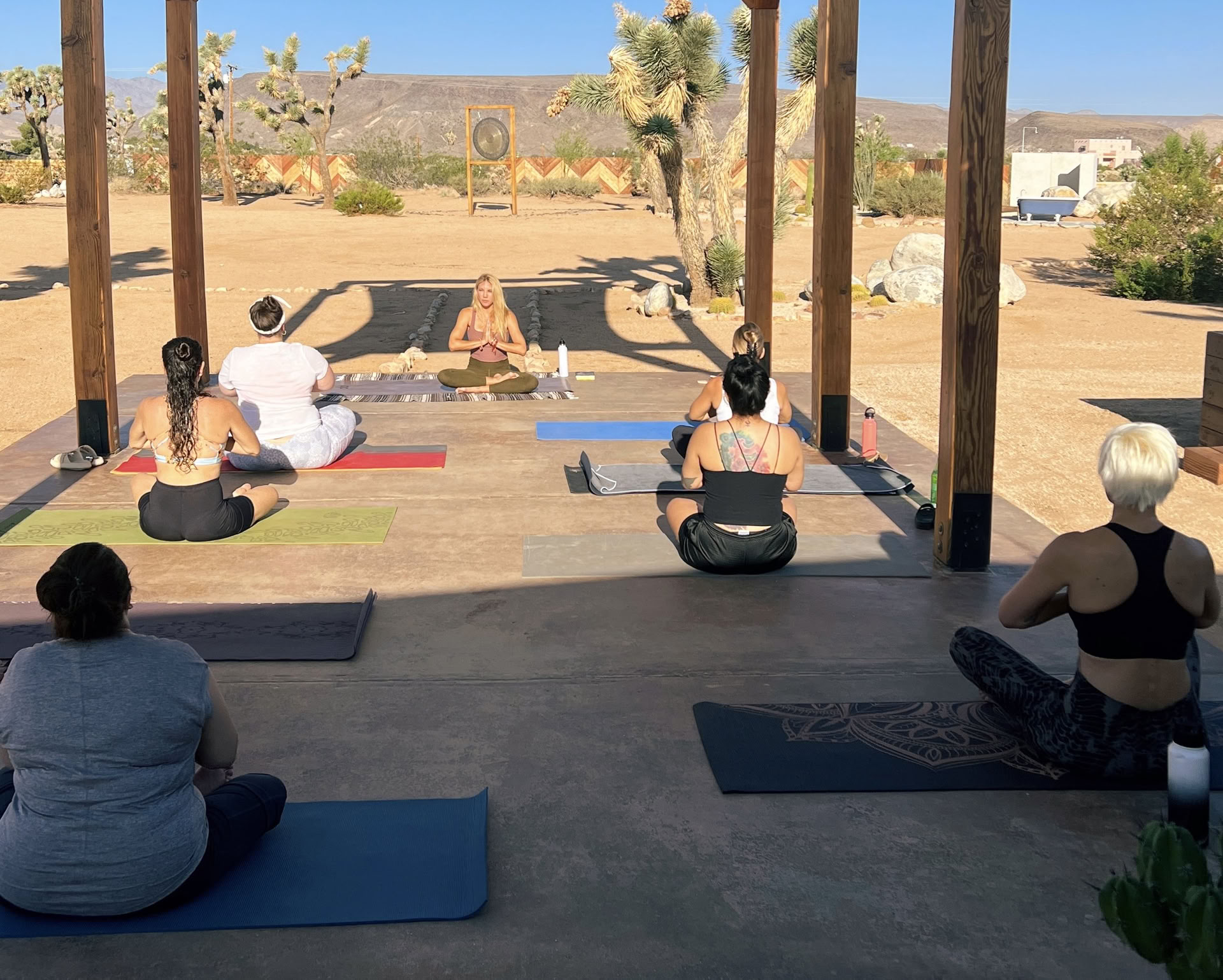 Plant Medicine Retreat