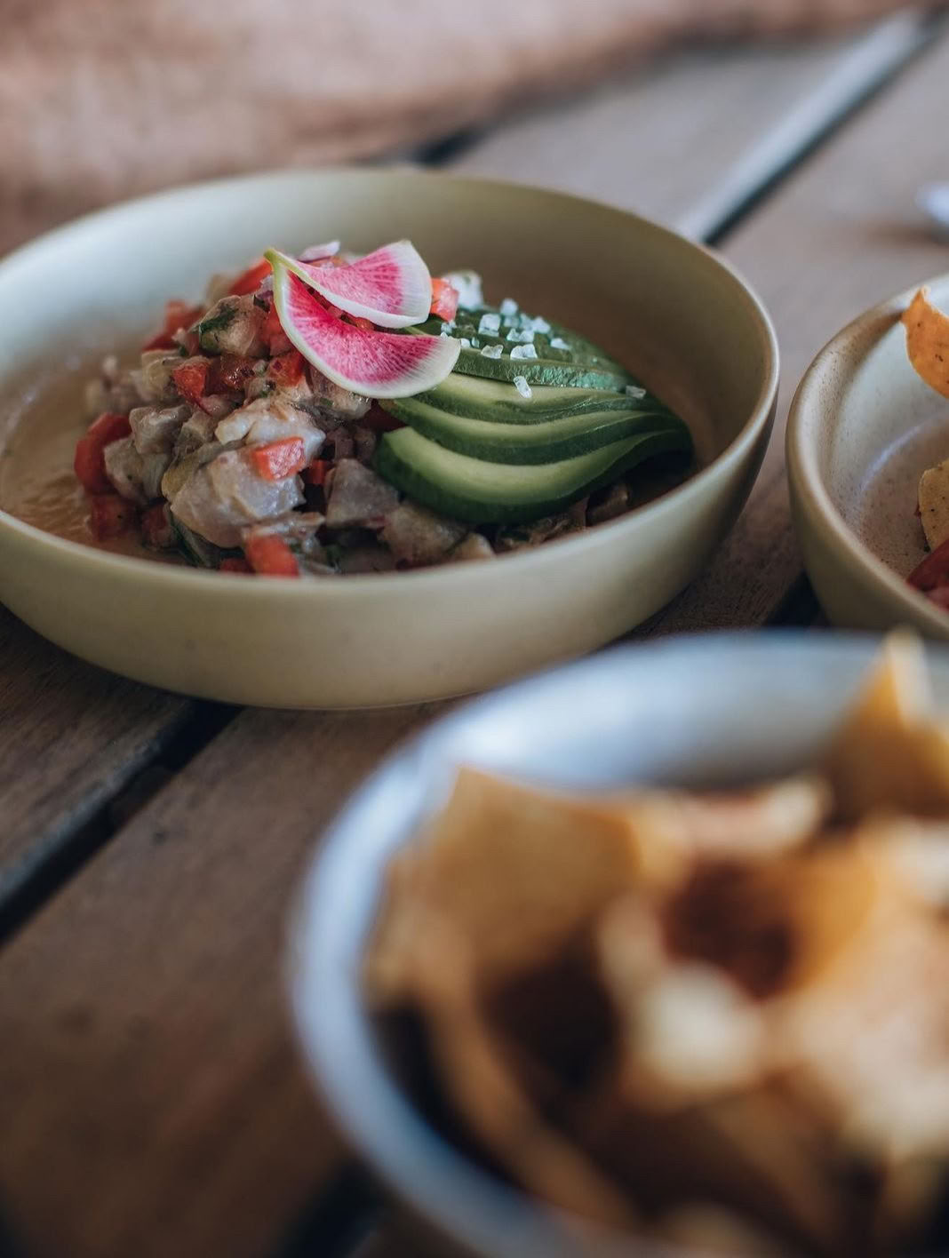 Plant Medicine Retreat