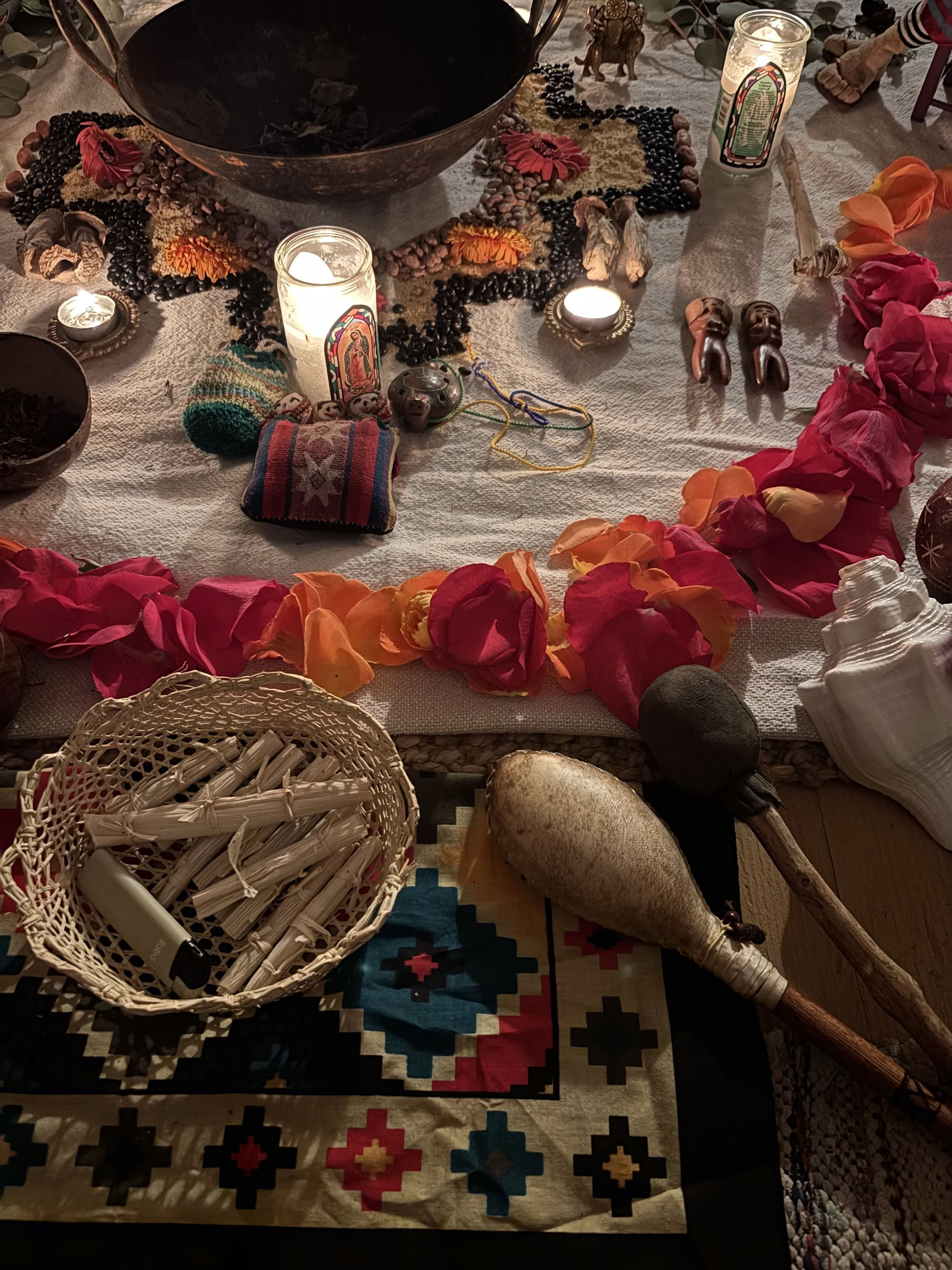 Plant Medicine Retreat