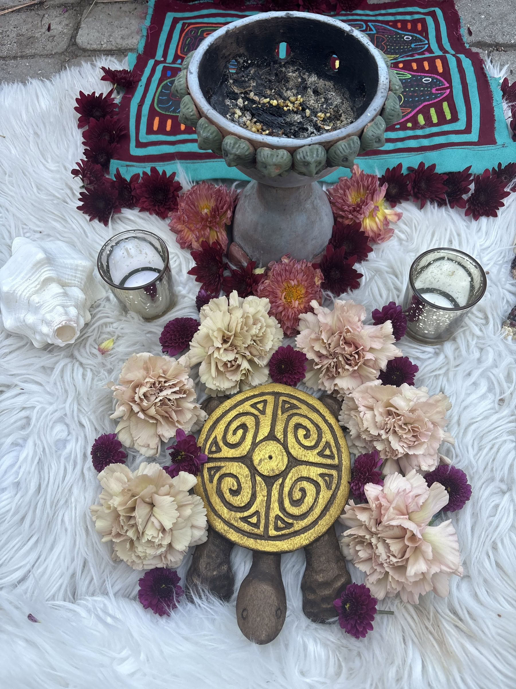 Plant Medicine Retreat