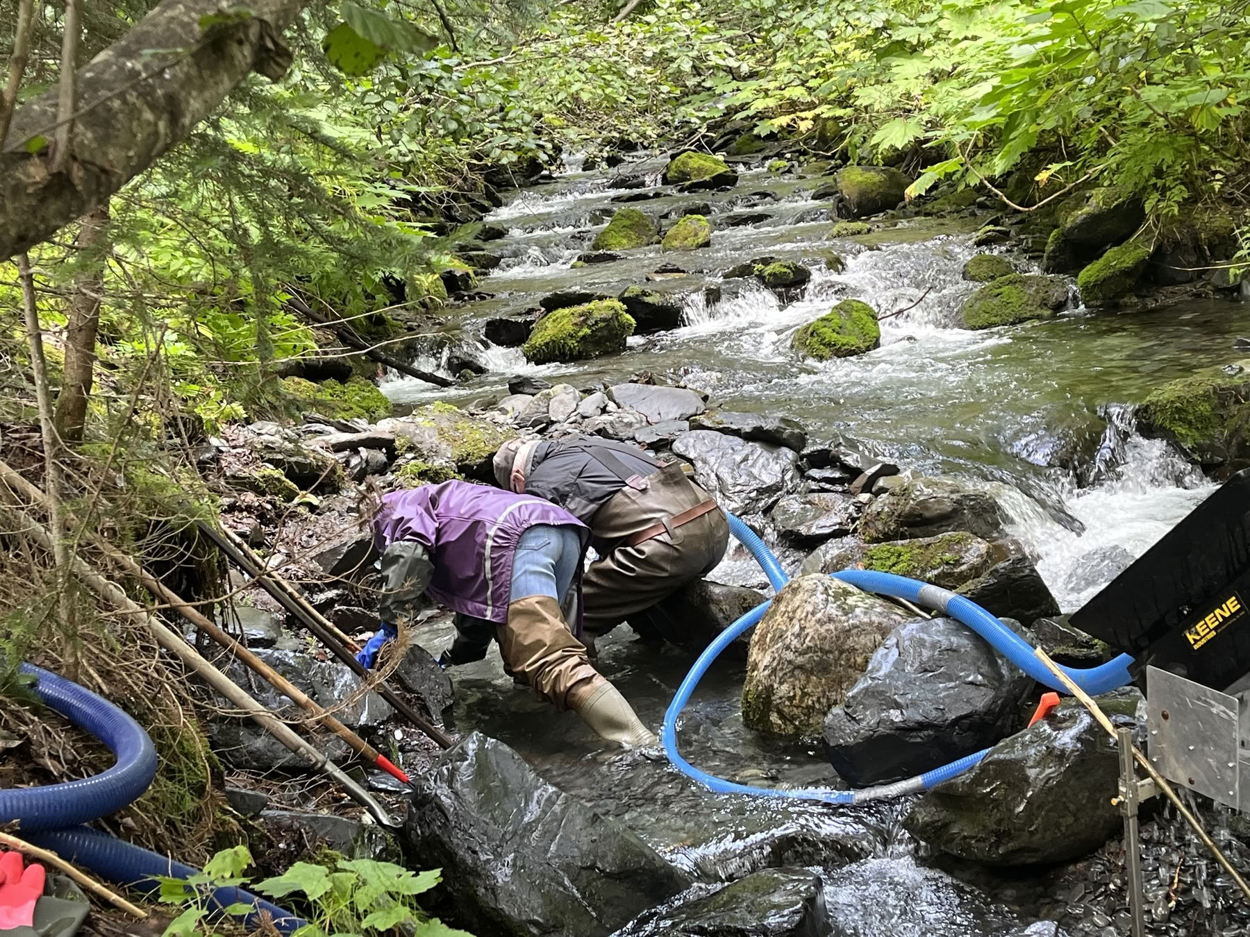 Gold Panning and Glacier Flight
