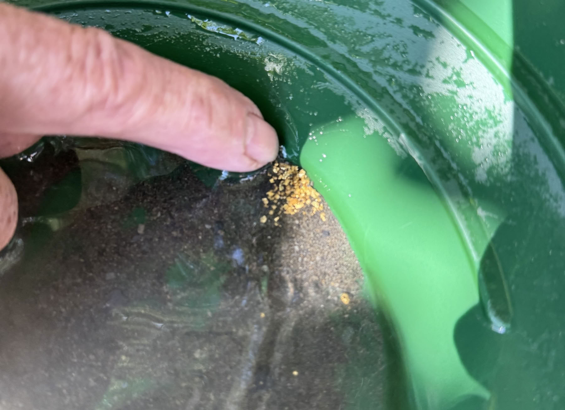 Gold Panning and Glacier Flight