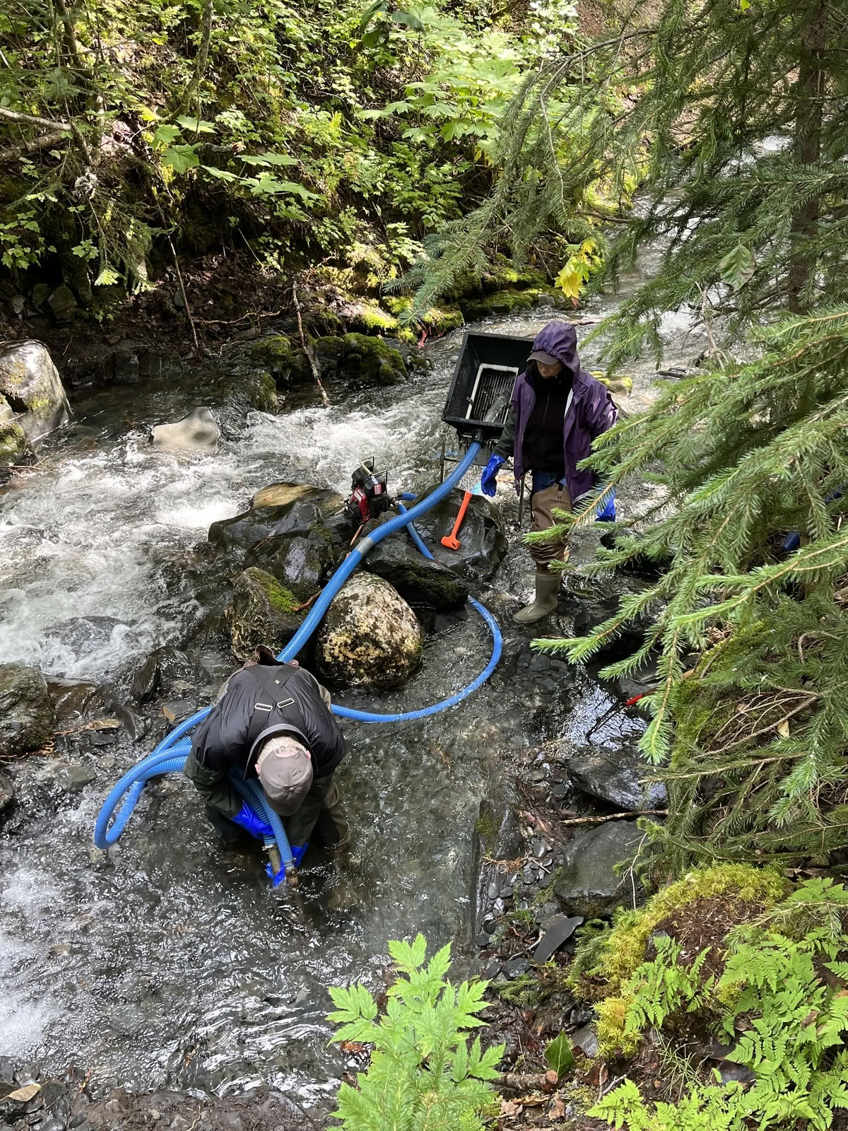 Gold Panning and Glacier Flight