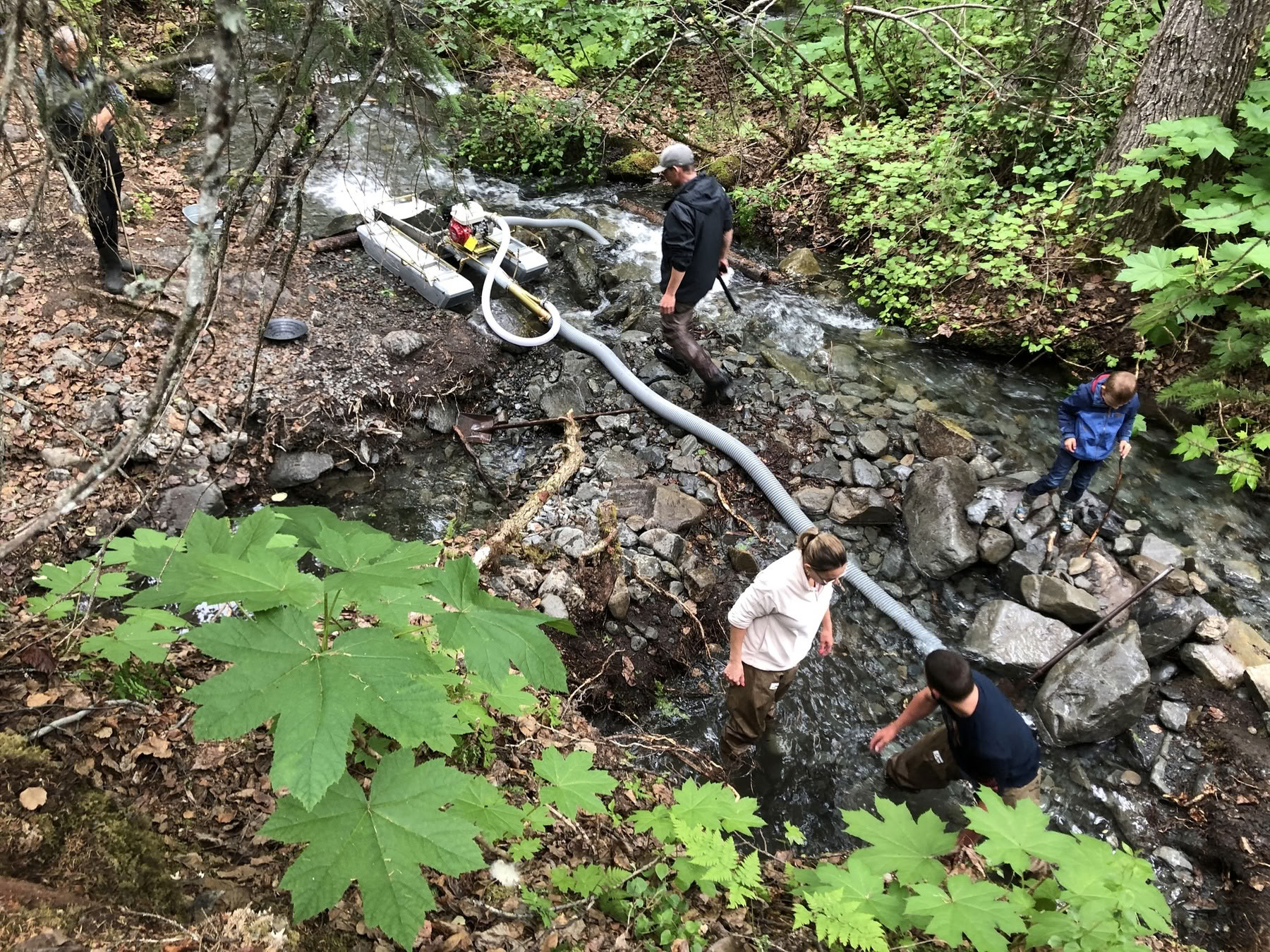 Gold Panning and Glacier Flight