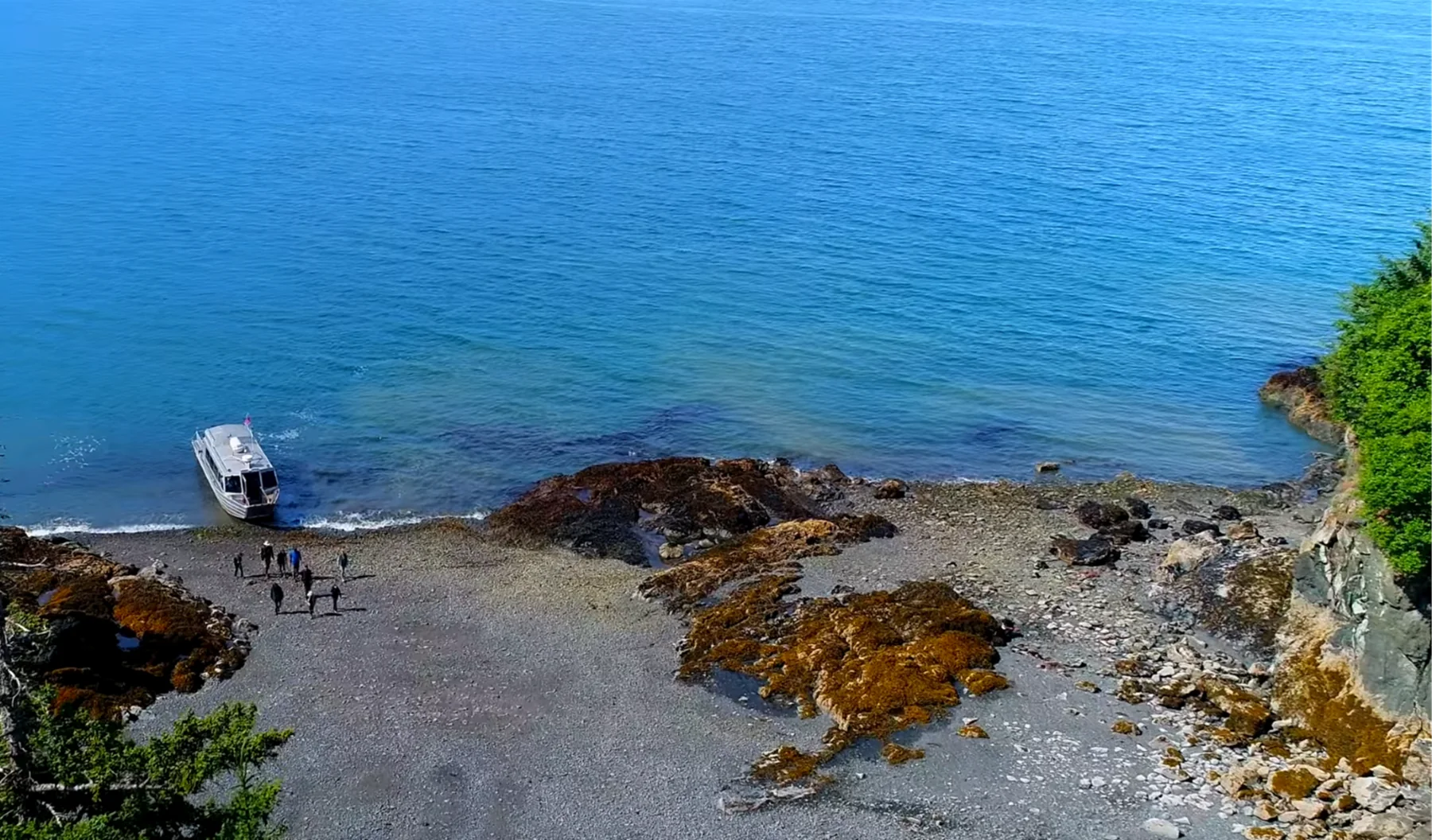 Tidepooling