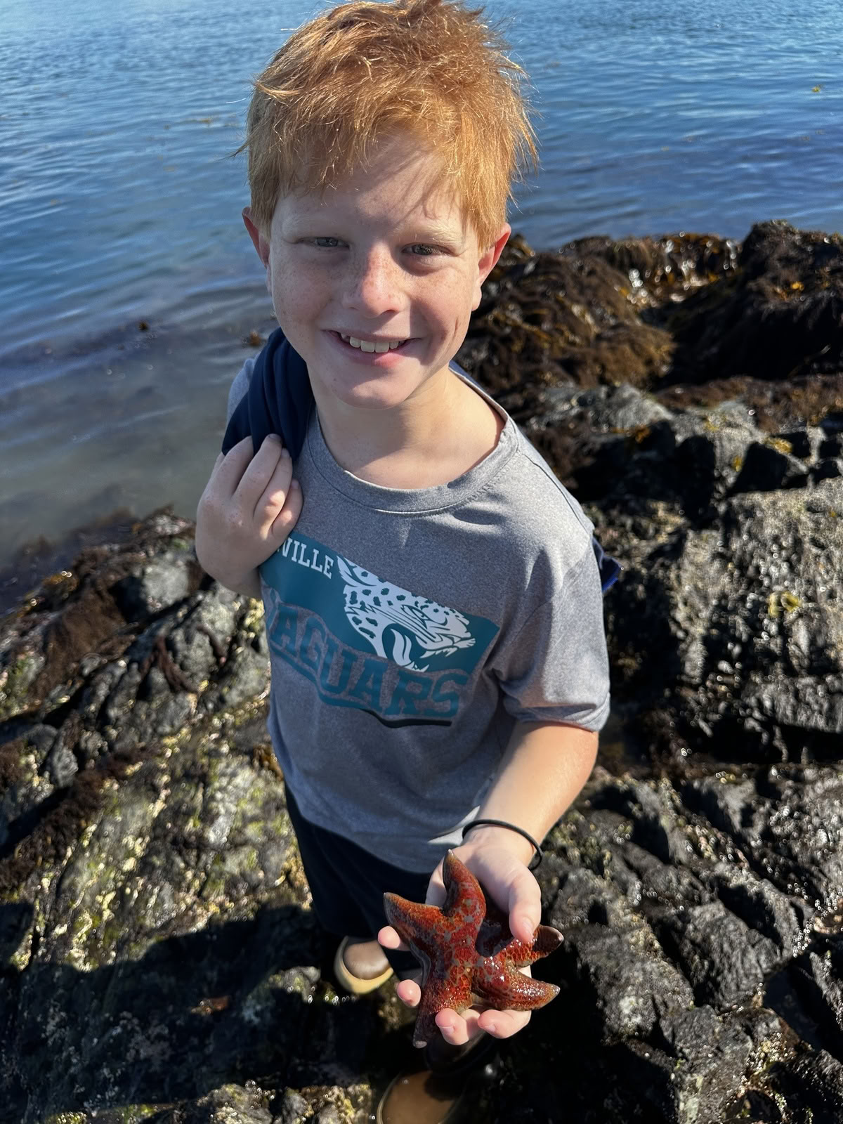 Tidepooling