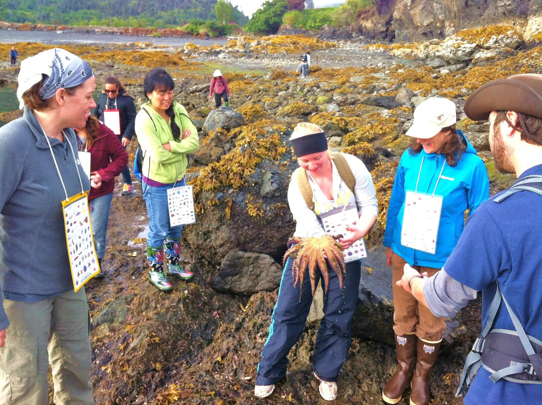 Tidepooling