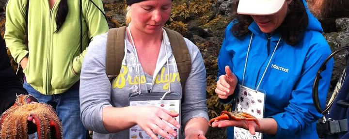 Tidepooling