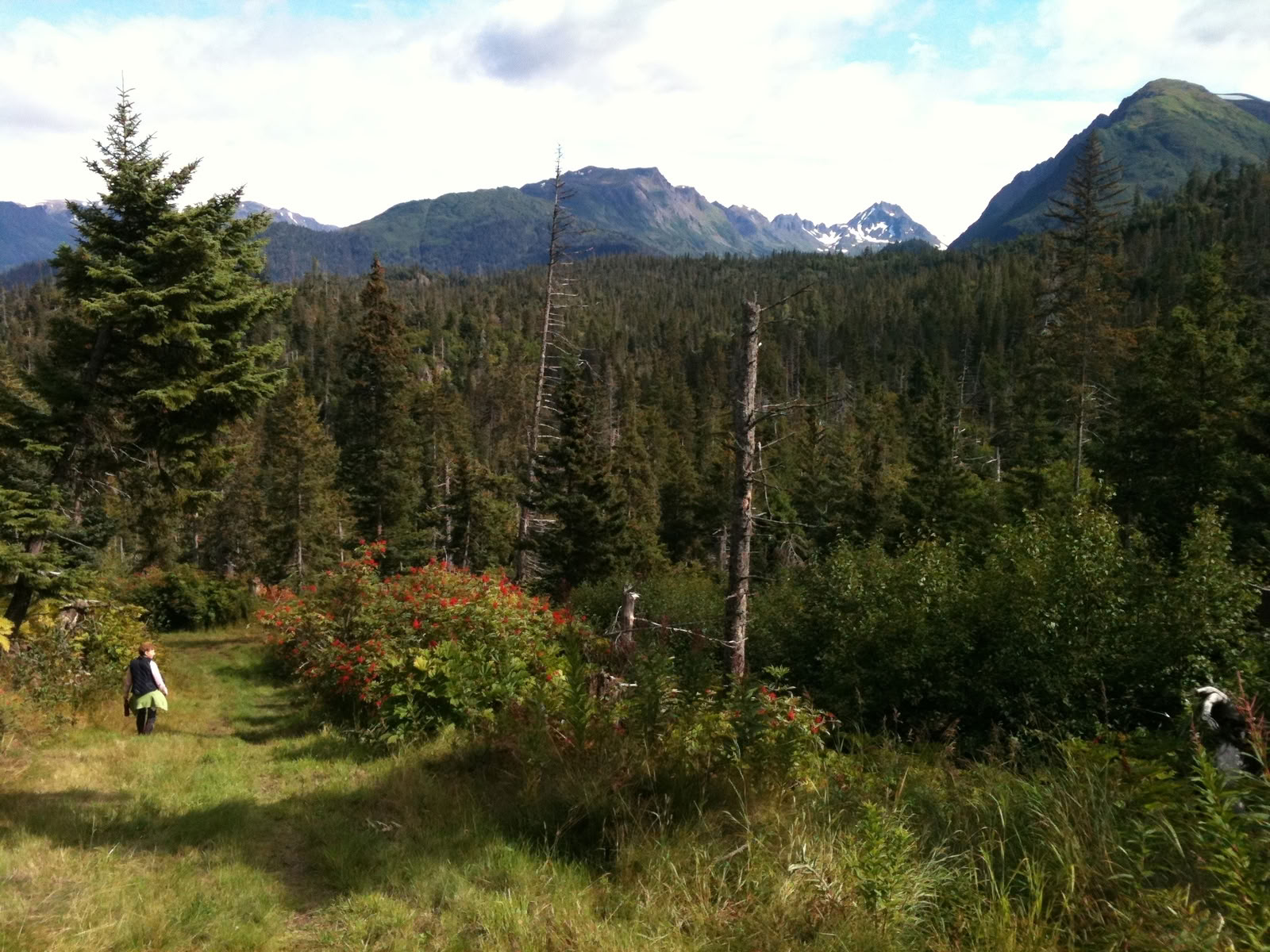Local Hiking in Alaska