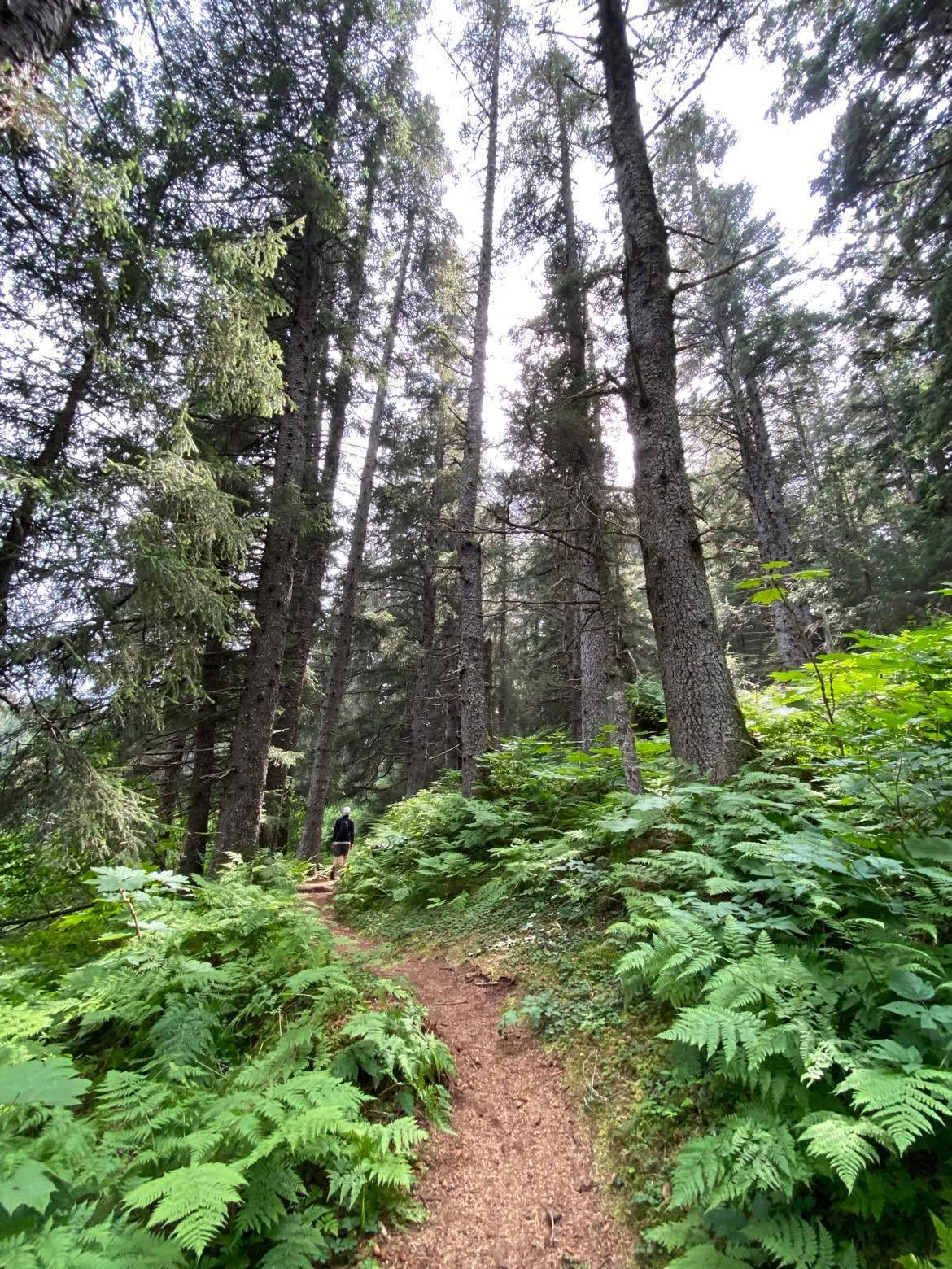 Local Hiking in Alaska