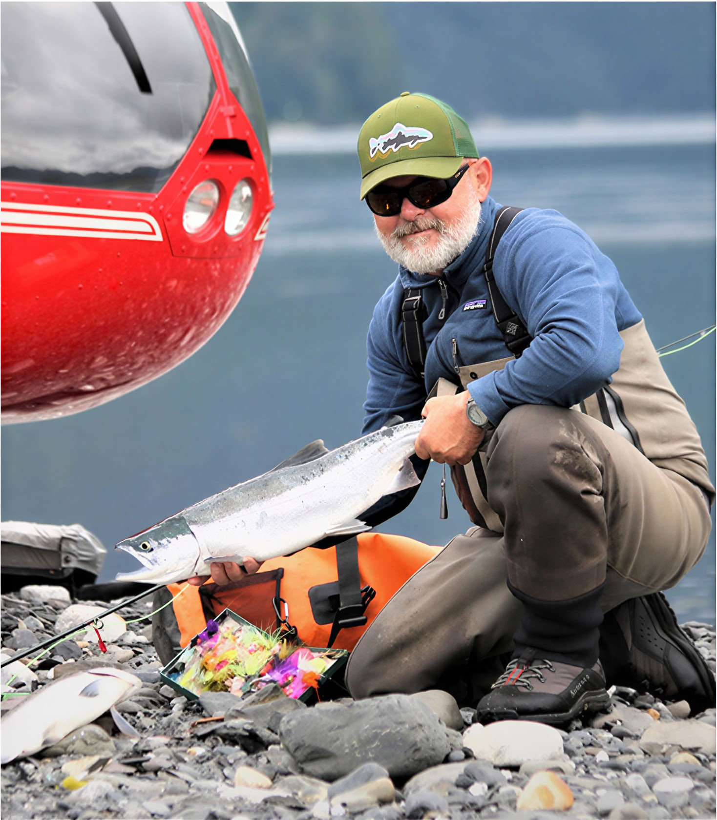 Whale Watching in Alaska