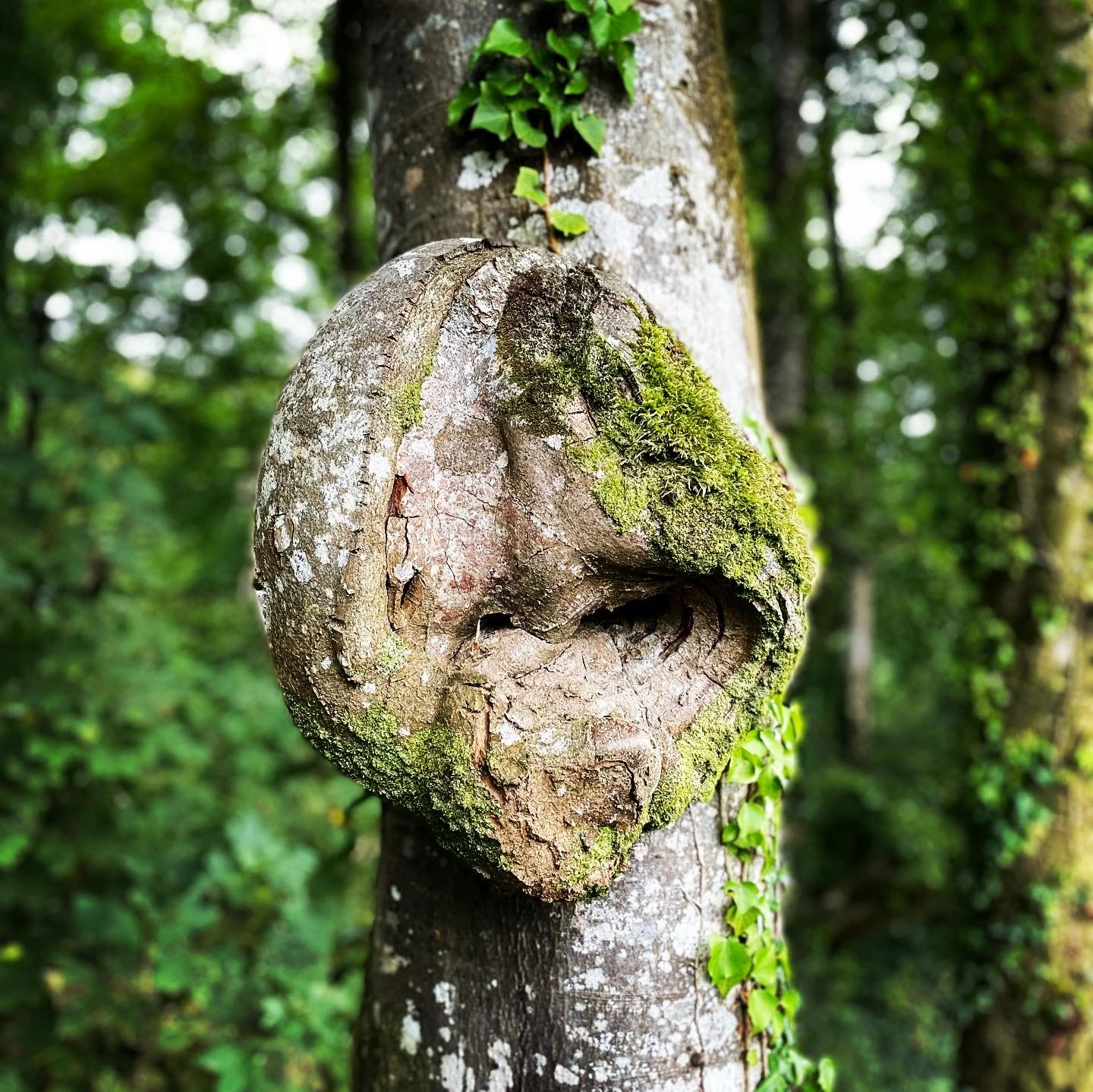 Finding Peace