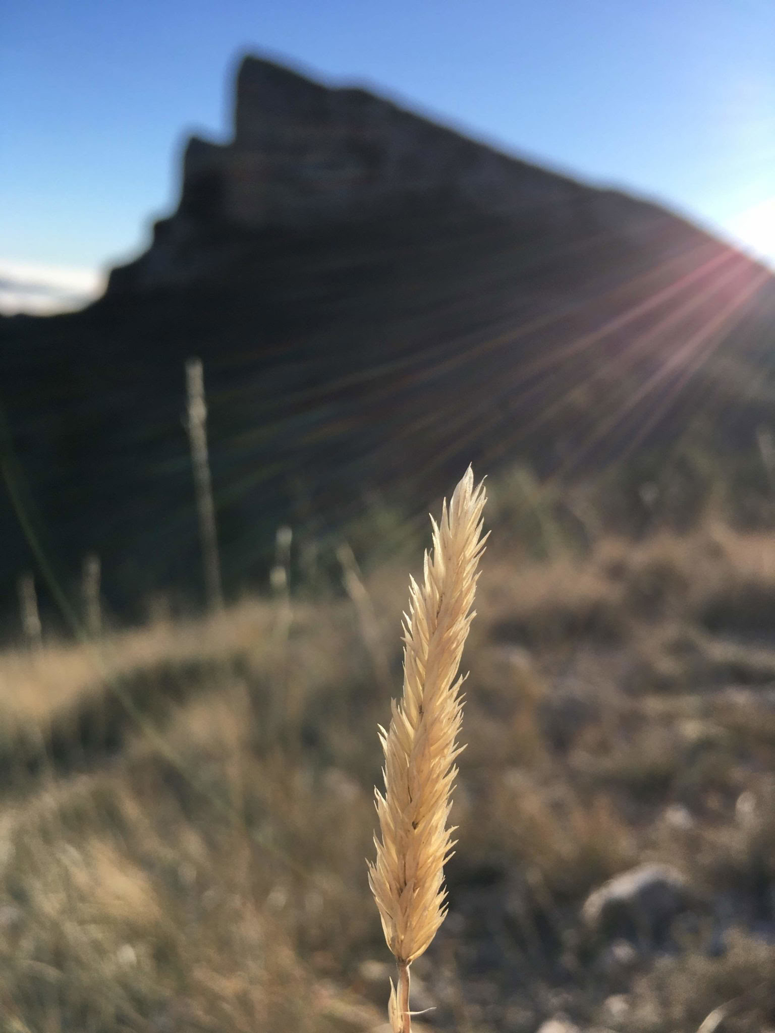 Finding Peace