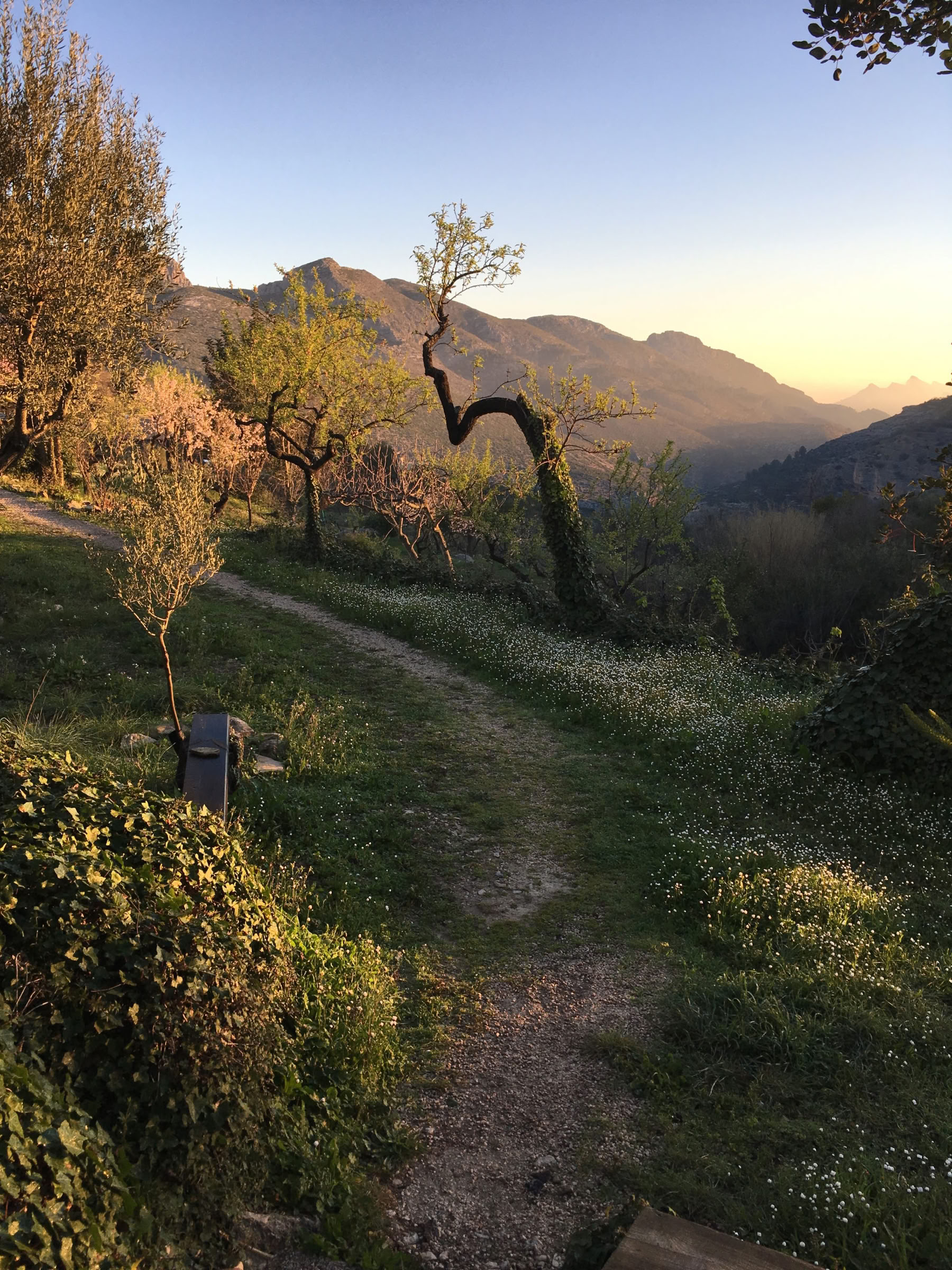 Finding Peace