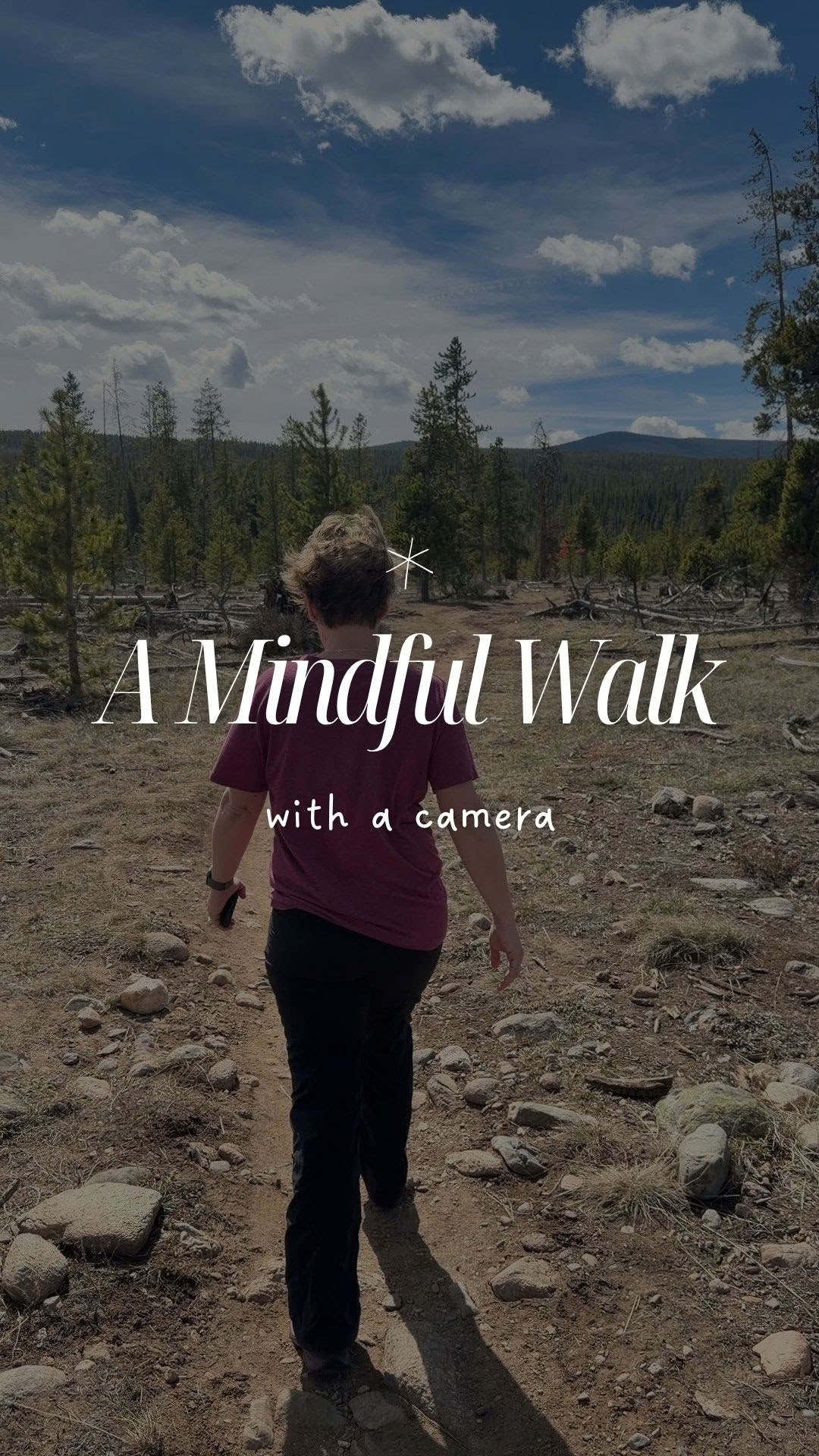 A Mindful Walk