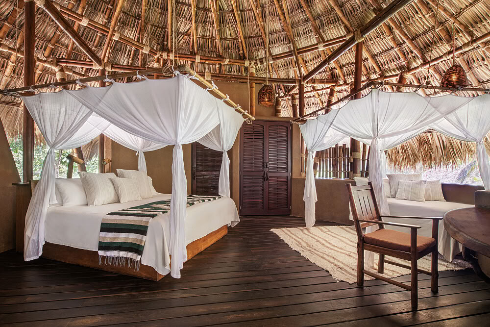 7-Day Sweet Like Honey Yoga & Ayurveda Retreat in Mexico