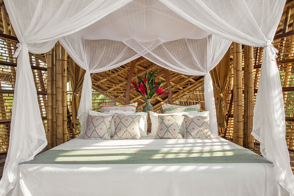 7-Day Sweet Like Honey Yoga & Ayurveda Retreat in Mexico