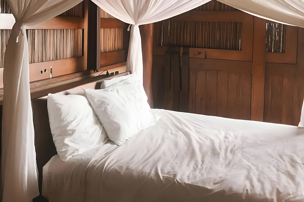 7-Day Sweet Like Honey Yoga & Ayurveda Retreat in Mexico
