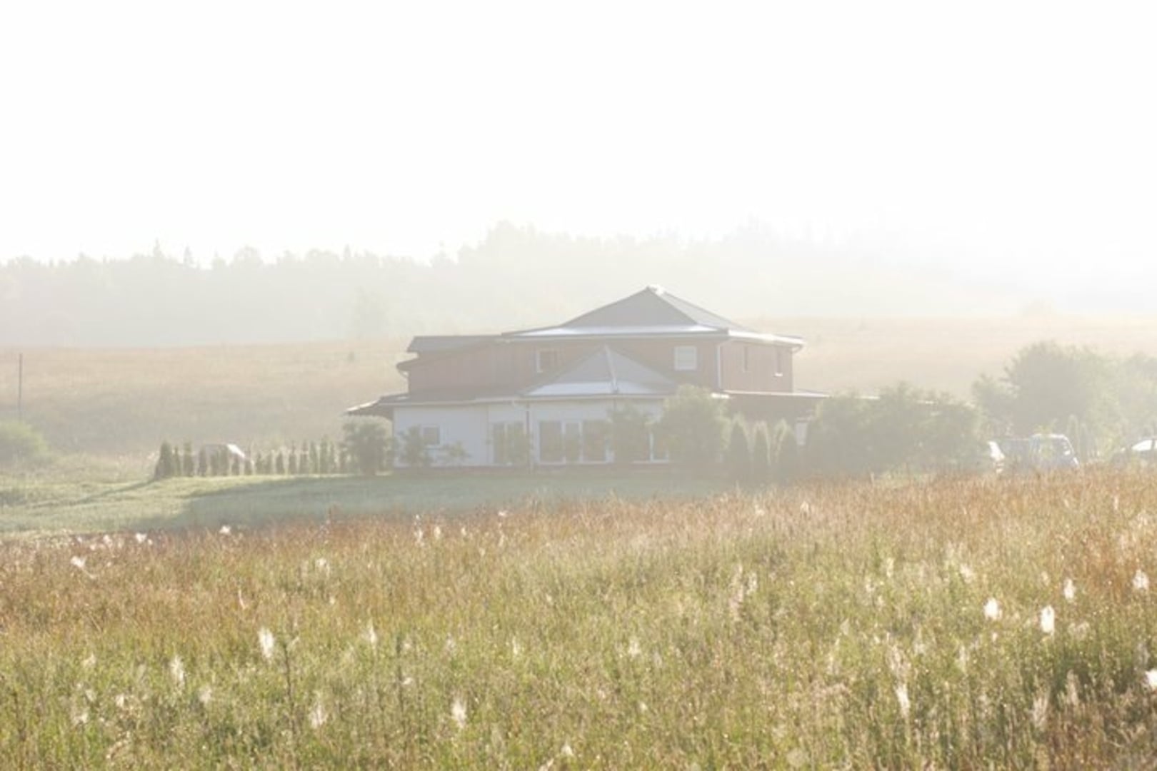 Homestead Žuvyčiai