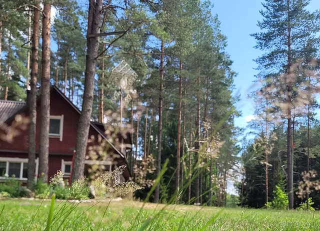 Oasis of peace SVETANA