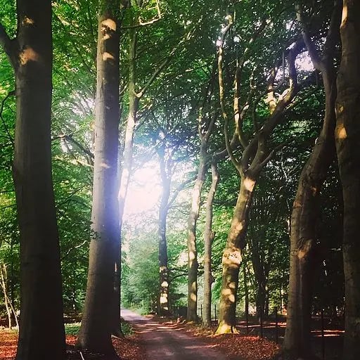 De Hoorneboeg, Netherlands