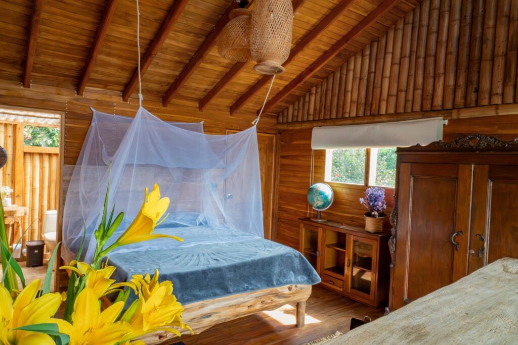 Harmonica Ayahuasca Retreat