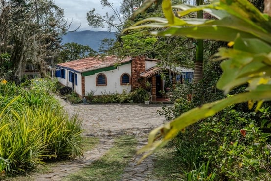 Harmonica Ayahuasca Retreat