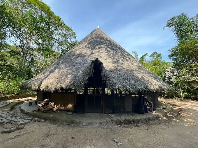 Psychonauta Foundation