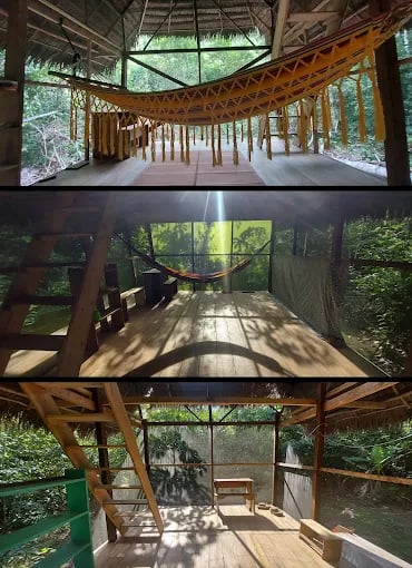 Psychonauta Foundation