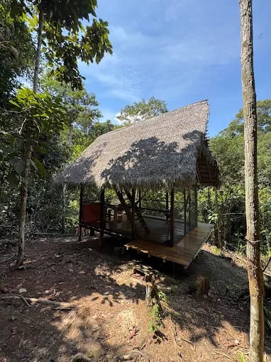 Psychonauta Foundation