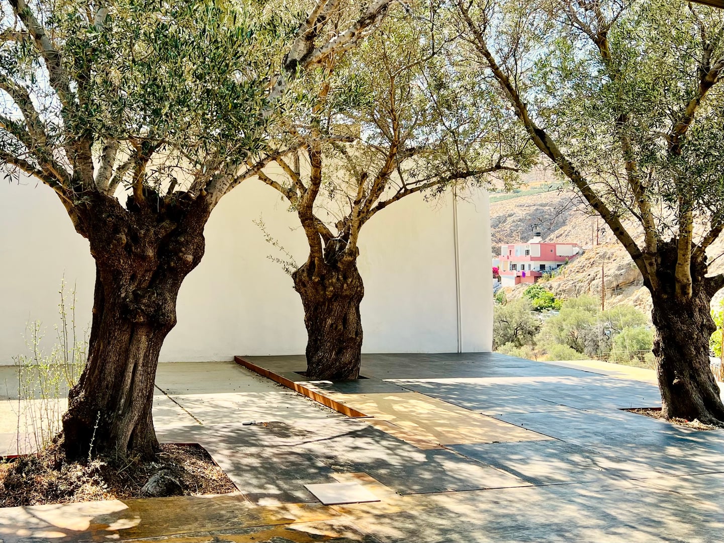 Yoga on Crete