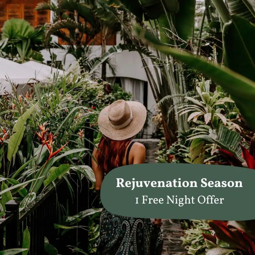 The Reef House Adults Retreat