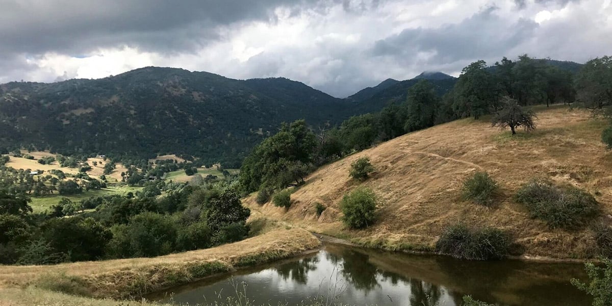 Vedanta Spiritual & Holistic Retreat