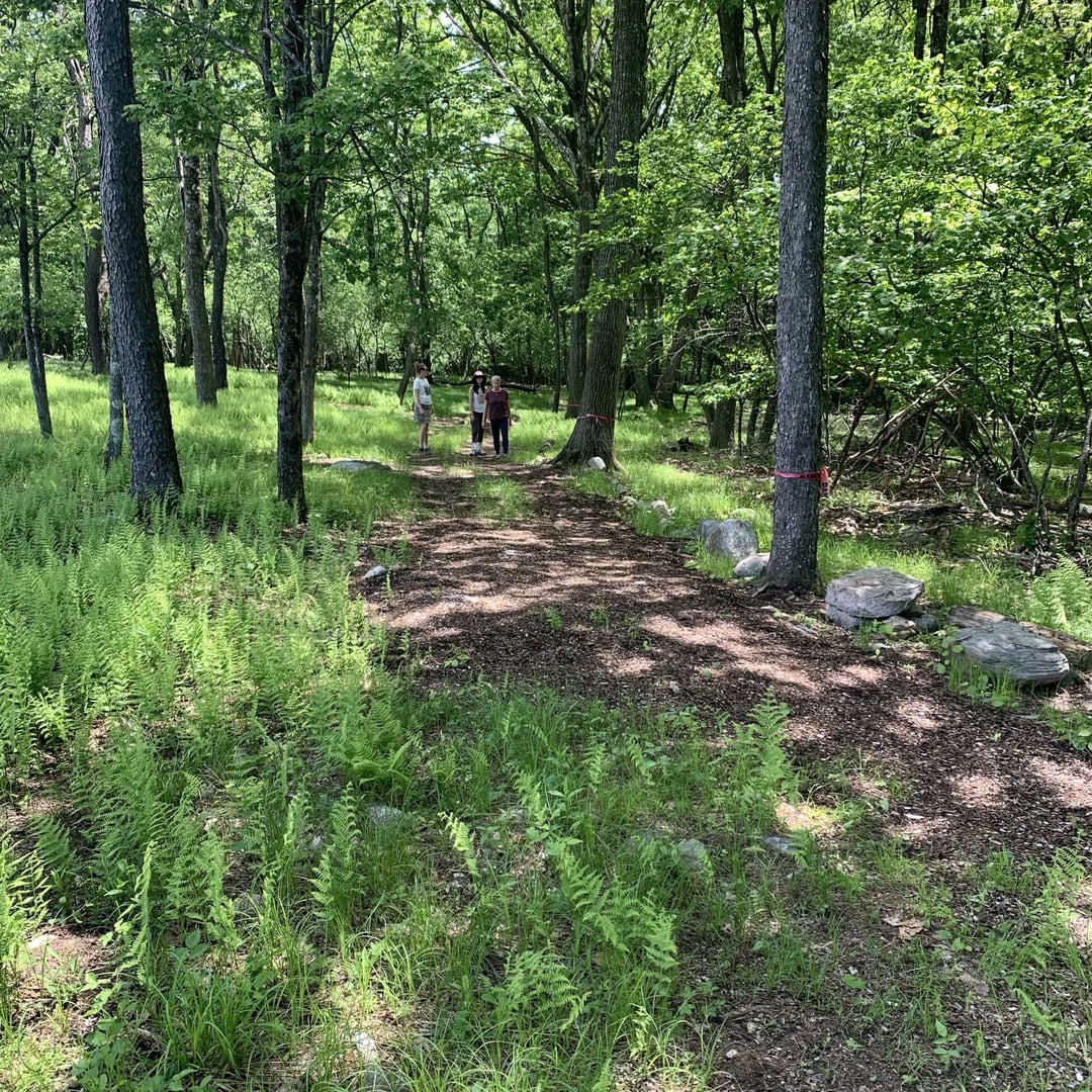 Dharmakaya Center for Wellbeing