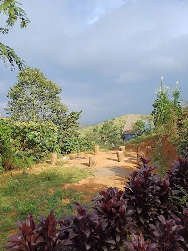 Spirit of the Wild Eco Resort