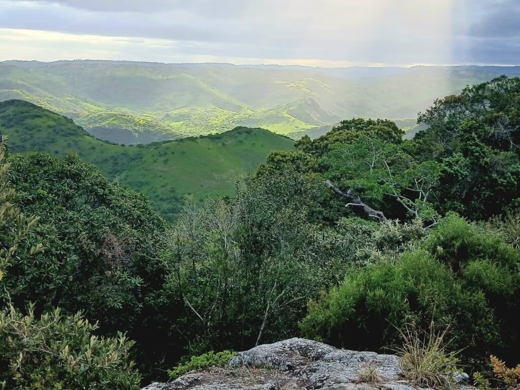 Louis at Magwa Falls