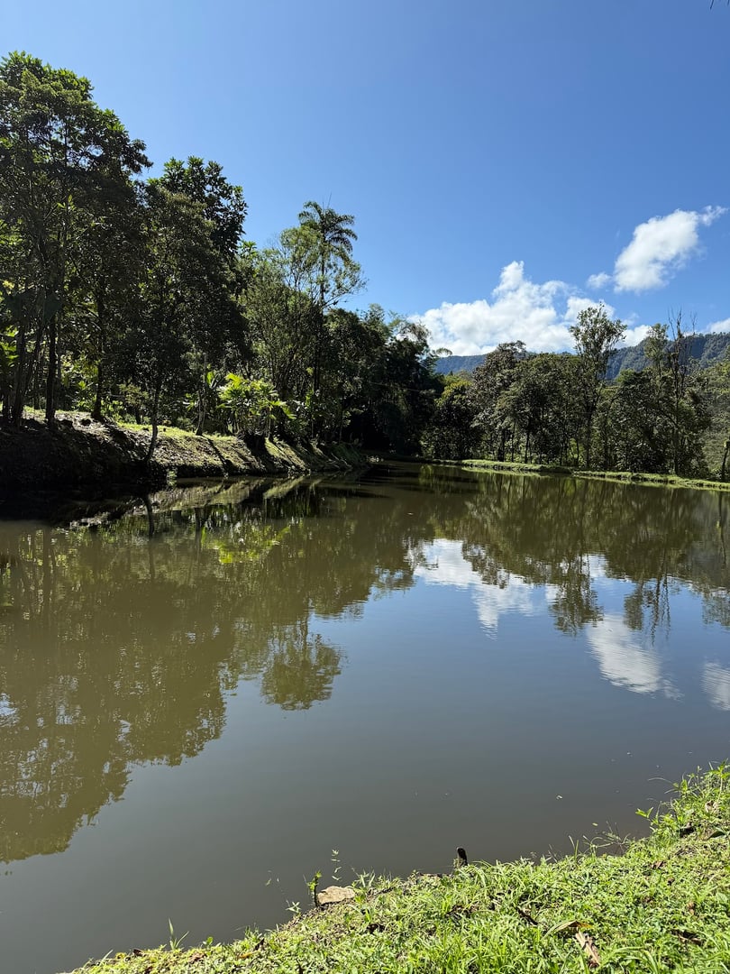 Hayulima: Spiritual and Plant medicine retreats