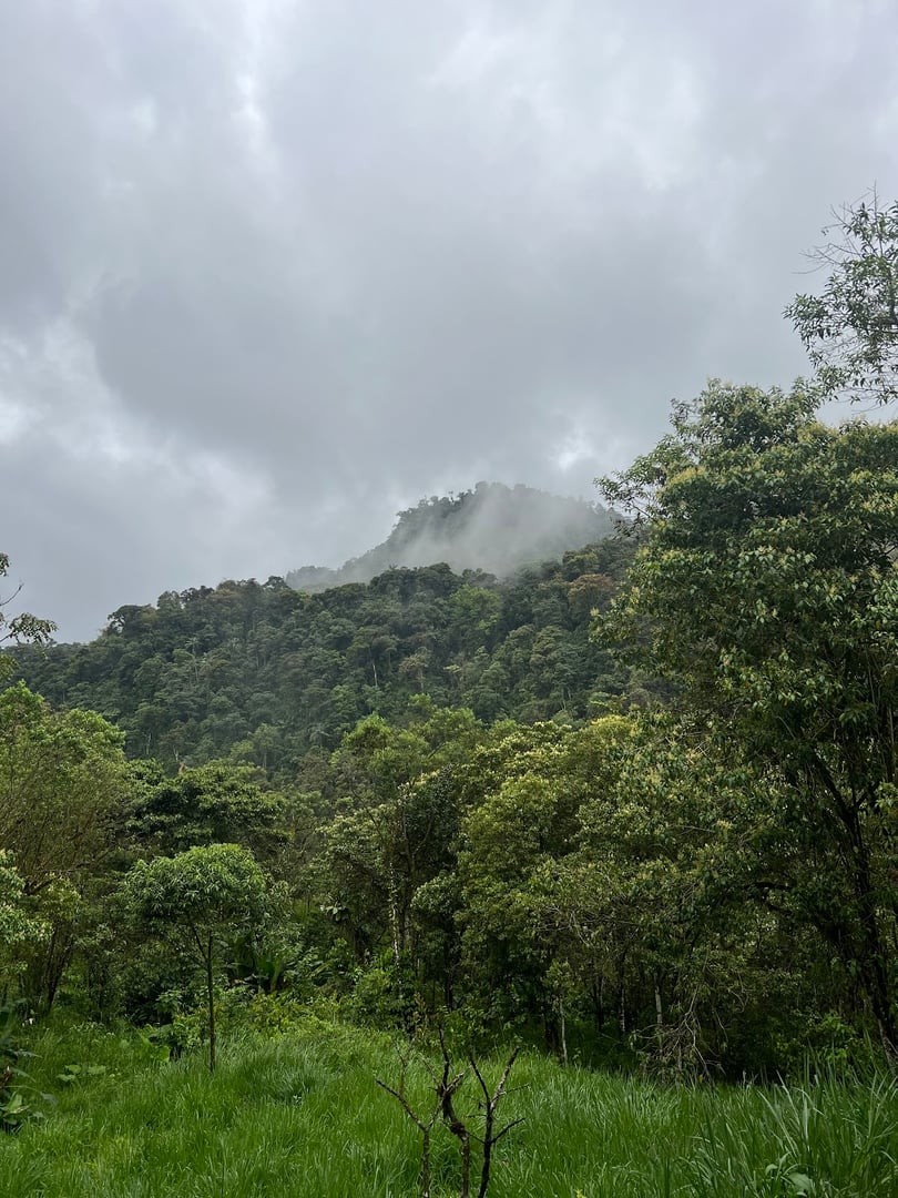 Hayulima: Spiritual and Plant medicine retreats