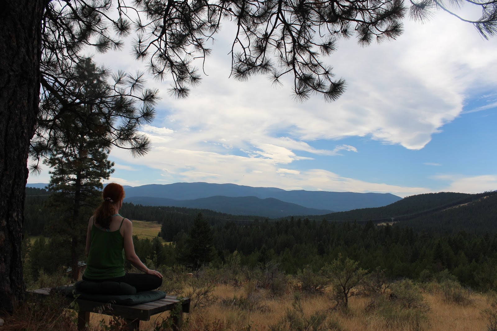 Clear Sky Meditation and Study Center