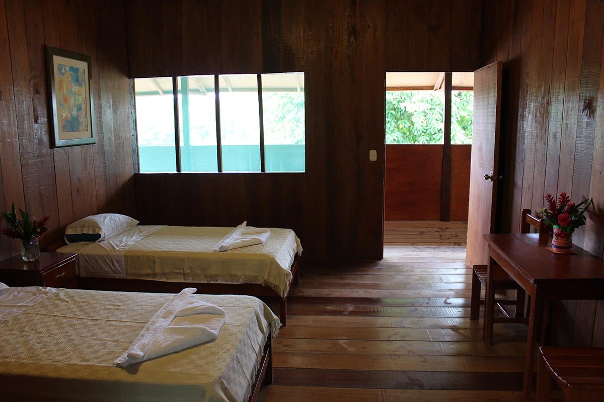 Ayahuasca Foundation