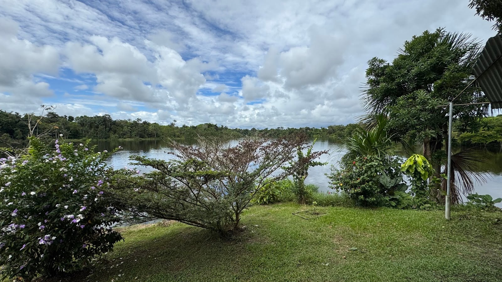 Ayahuasca Foundation