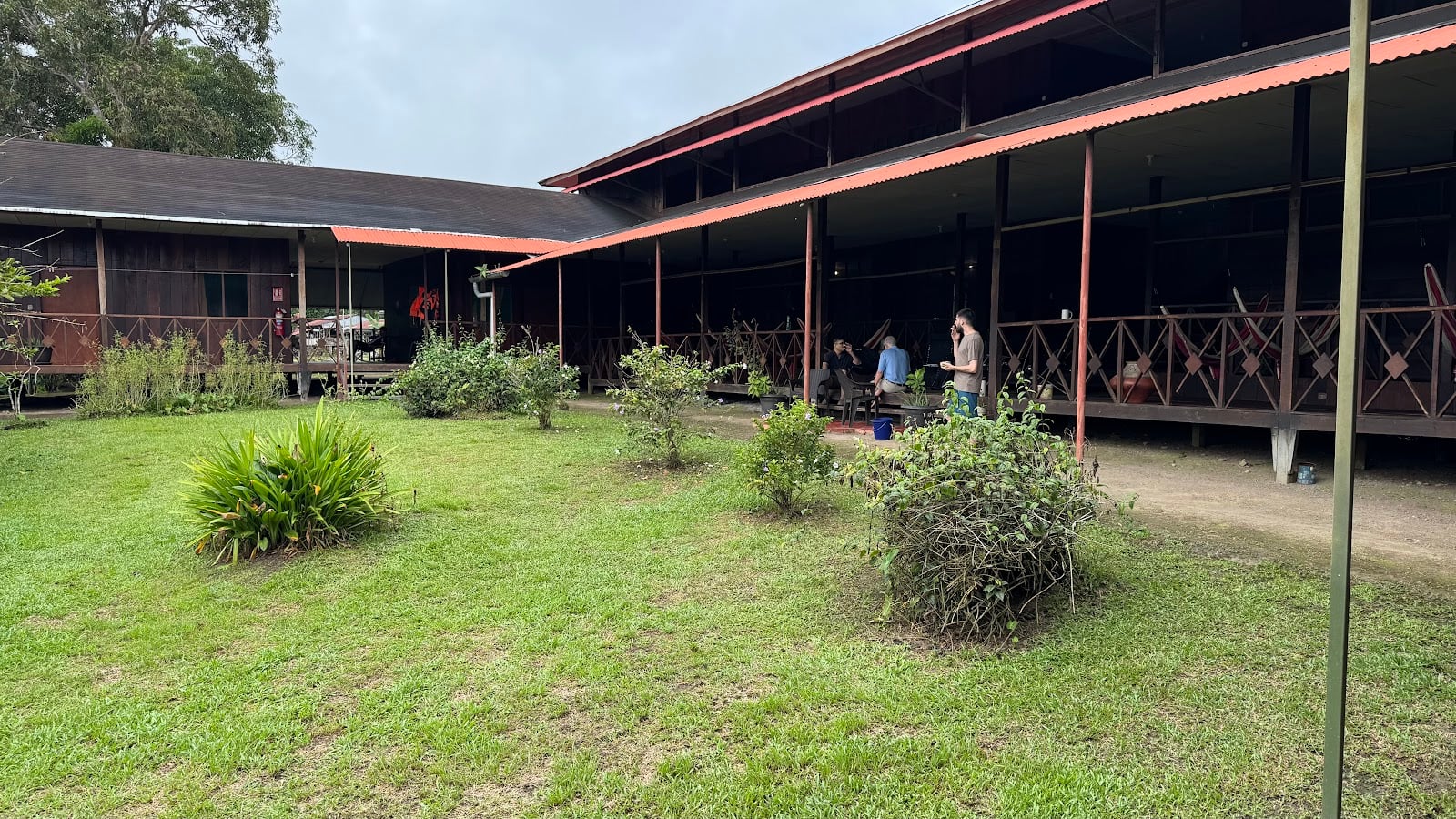 Ayahuasca Foundation