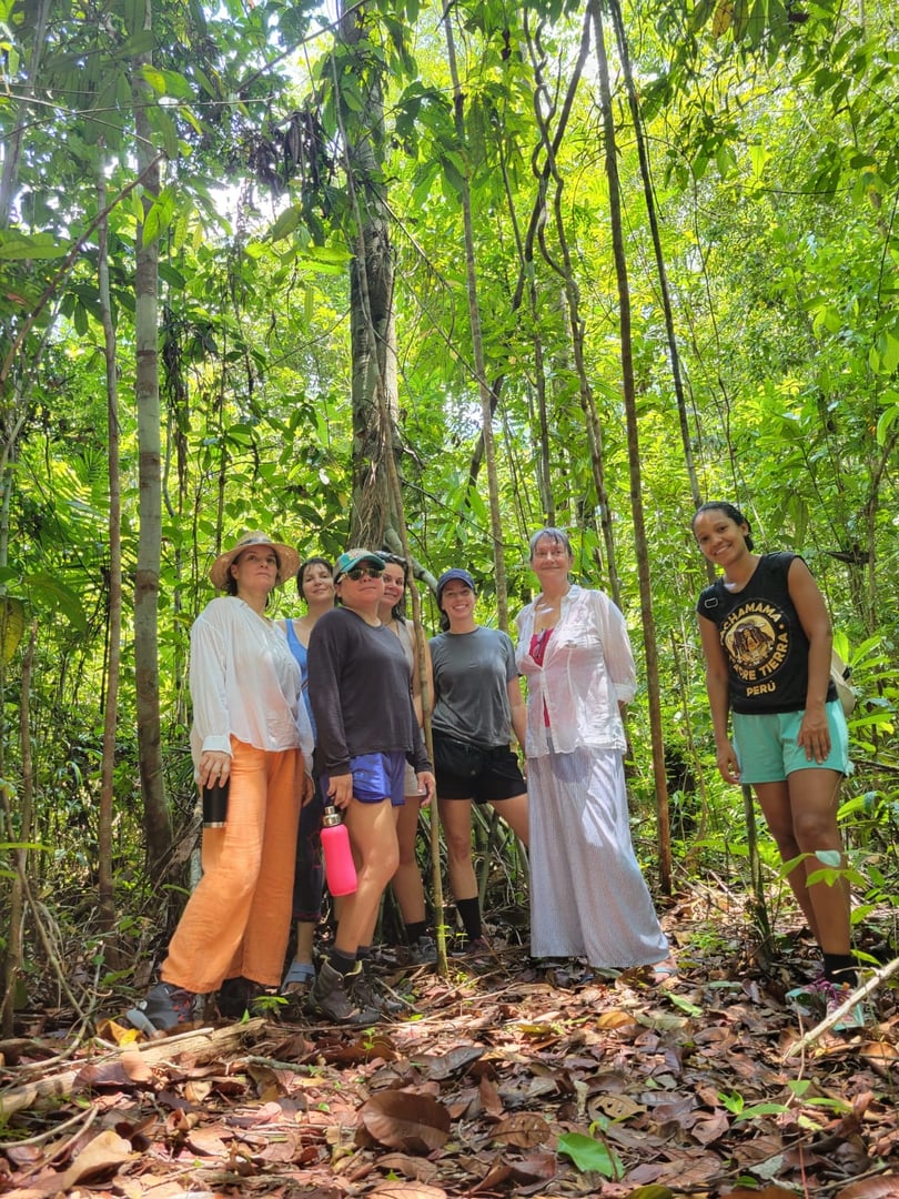 Ayahuasca Foundation