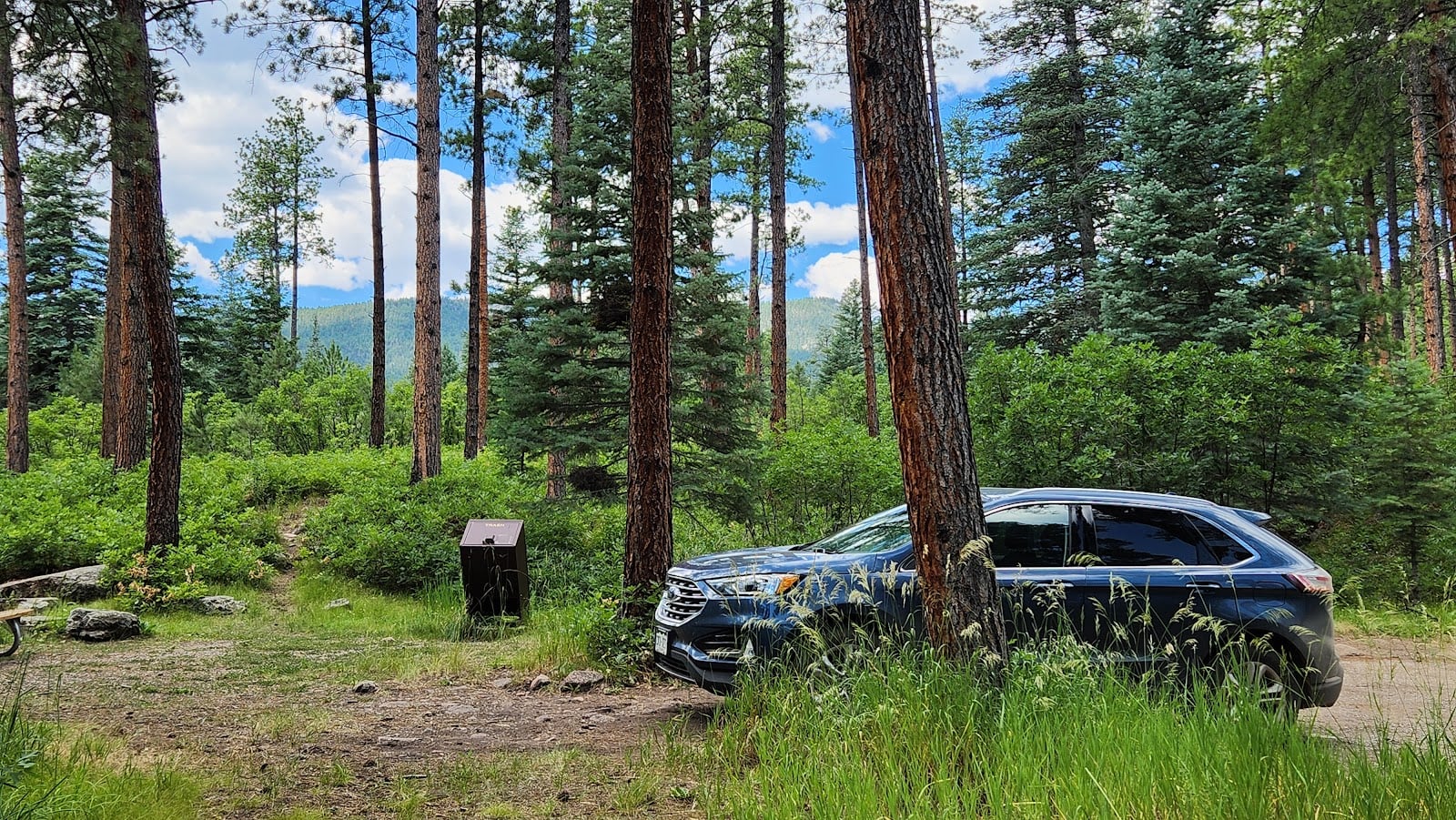 Nature and Wildlife Discovery Center - Mountain Campus