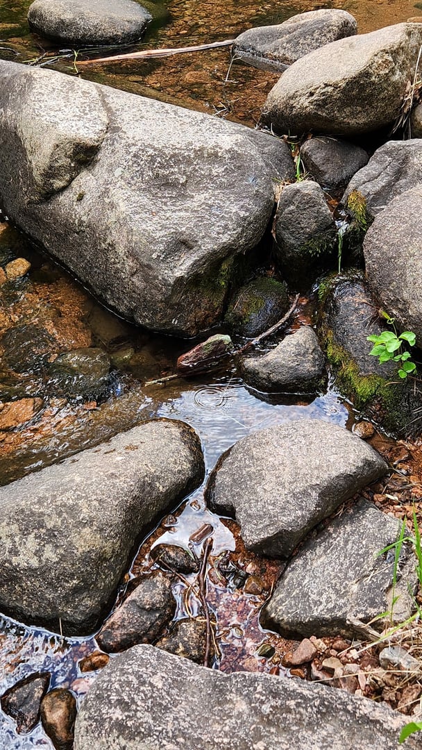 Nature and Wildlife Discovery Center - Mountain Campus