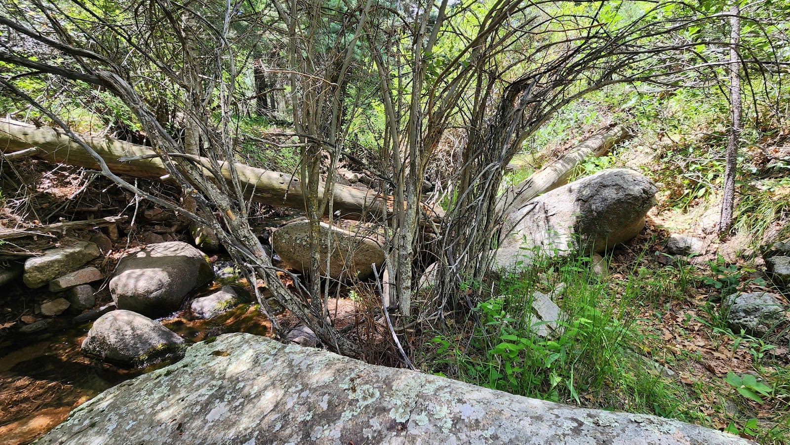 Nature and Wildlife Discovery Center - Mountain Campus
