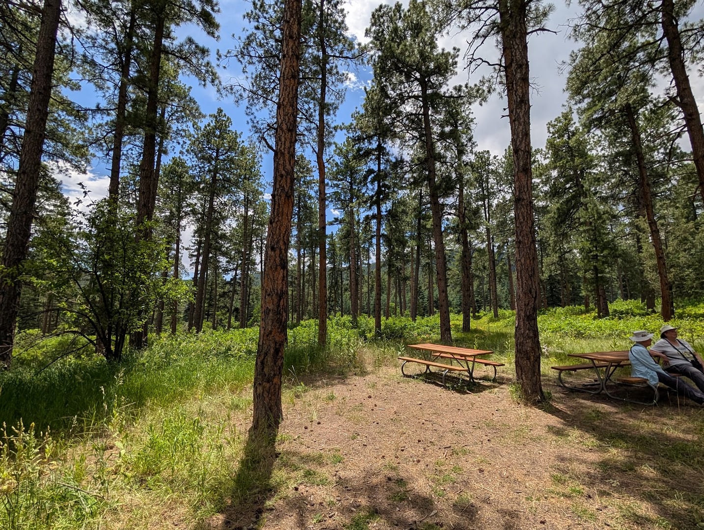 Nature and Wildlife Discovery Center - Mountain Campus