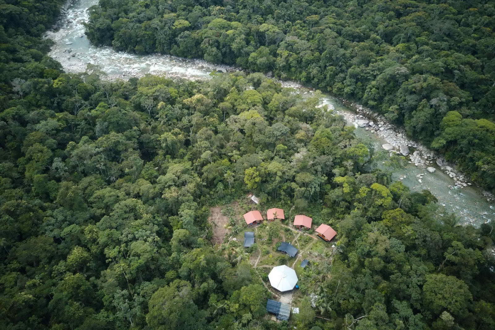 Feather Crown Ayahuasca Ecuador