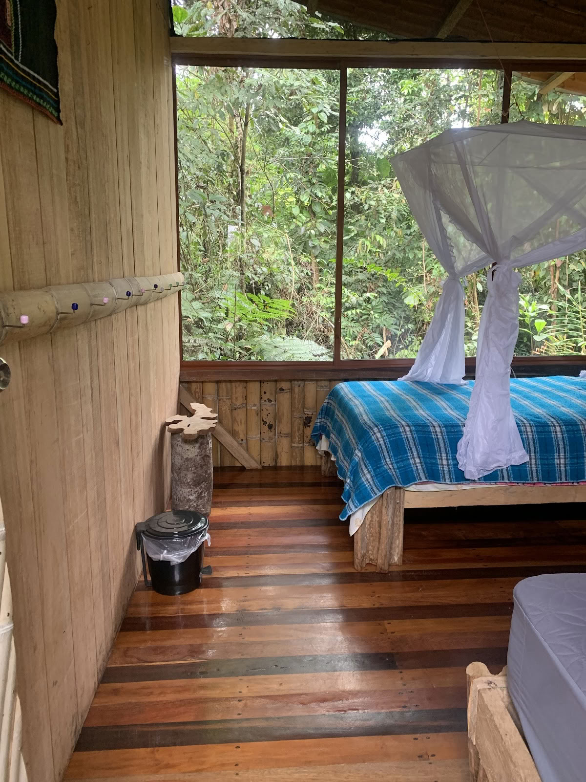 Feather Crown Ayahuasca Ecuador